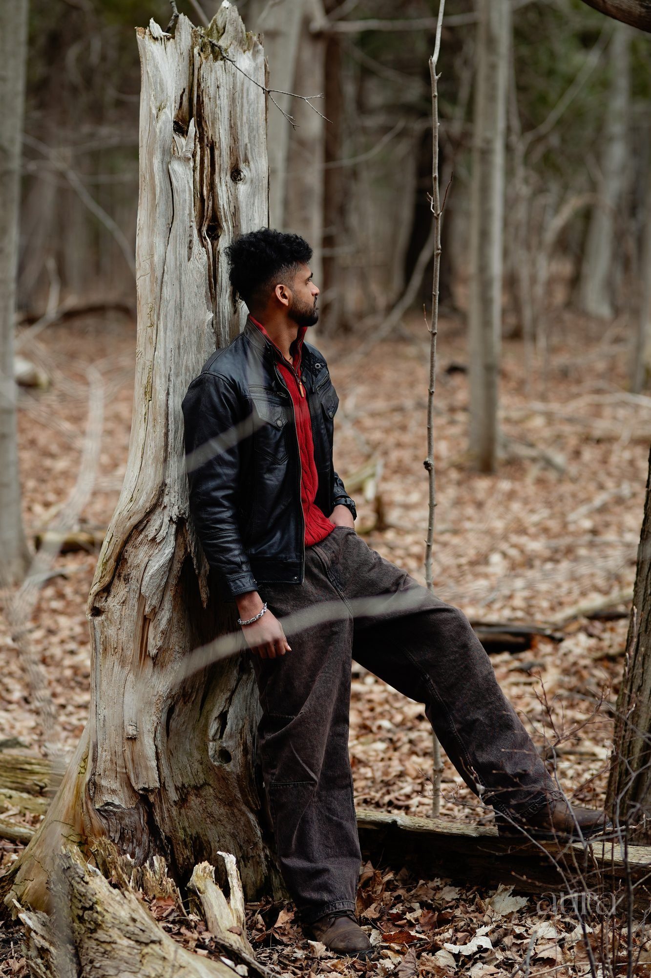 Portraits by Aura Films